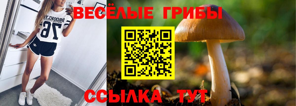 Псилоцибиновые грибы мицелий  Вход с VPN  Псилоцибиновые грибы Magic Shrooms  Россия 